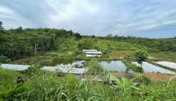 News Republic of Congo  aquaculture  Kouilou