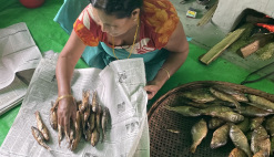 News India feasibility study KfW fisheries aquaculture