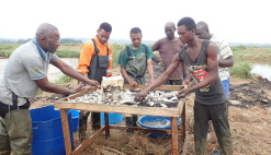 News Republic of Congo aquaculture commercial fish farming Kouilou region