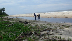 News Republic of Congo aquaculture commercial fish farming Kouilou region