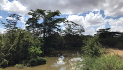 News Kenya blue economy fisheries ICZM MSP ocean governance