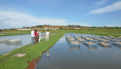 News Uganda aquaculture NGO governance Jinja