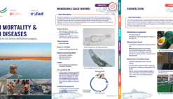 News Uzbekistan aquaculture fish disease biosecurity