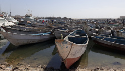 News Mauritania IMROP scientific research