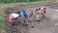 News Rwanda Tilapia BAP aquaculture
