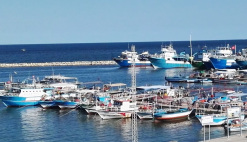 News Tunisia fisheries governance management