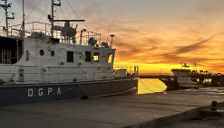 News Launch of the Study on Fisheries Governance and Management Improvement in Tunisia
