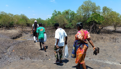News East Africa blue economy fisheries seaweed mangroves women employment 