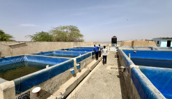  News Senegal Aquaculture Training Technical assistance Aquaculture hubs